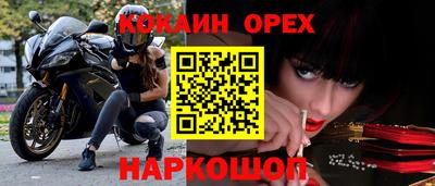 крисы Заводоуковск
