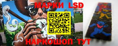 крисы Заводоуковск
