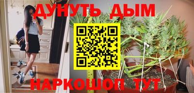 крисы Заводоуковск