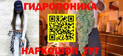 крисы Заводоуковск