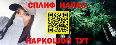 крисы Заводоуковск