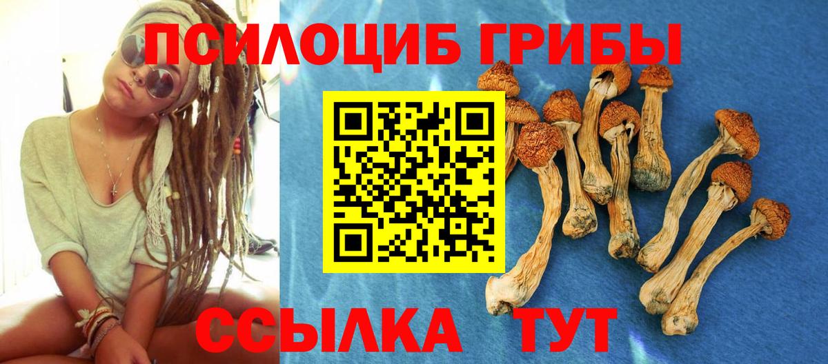 Псилоцибиновые грибы MAGIC MUSHROOMS Янаул